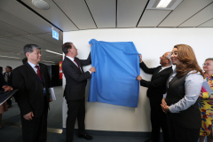 unveiling-before-scaled