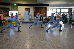 cultural-presentation-china-7071r_53803989306_o