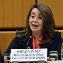 Director-General/Executive Director of the United Nations Office at Vienna